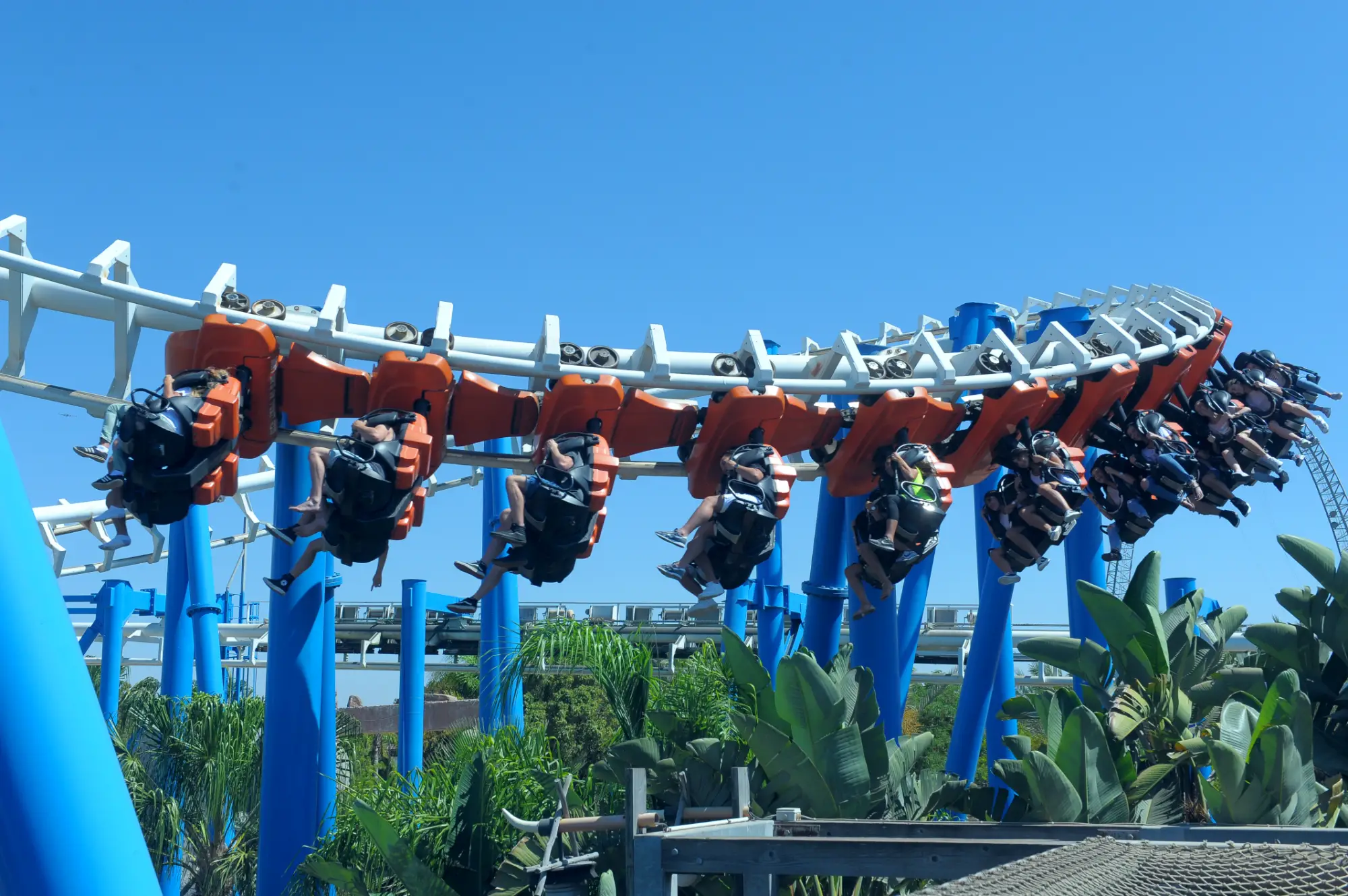 הקומבה סופרלנד (1)