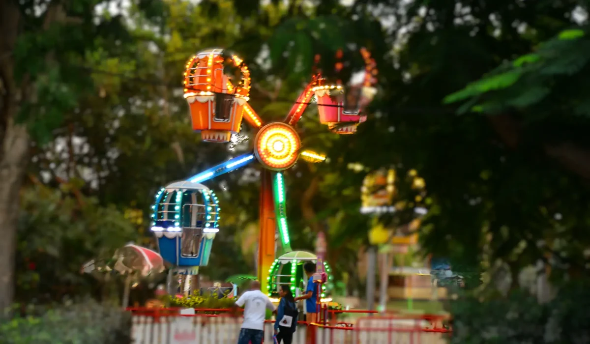 מיני גלגל 91