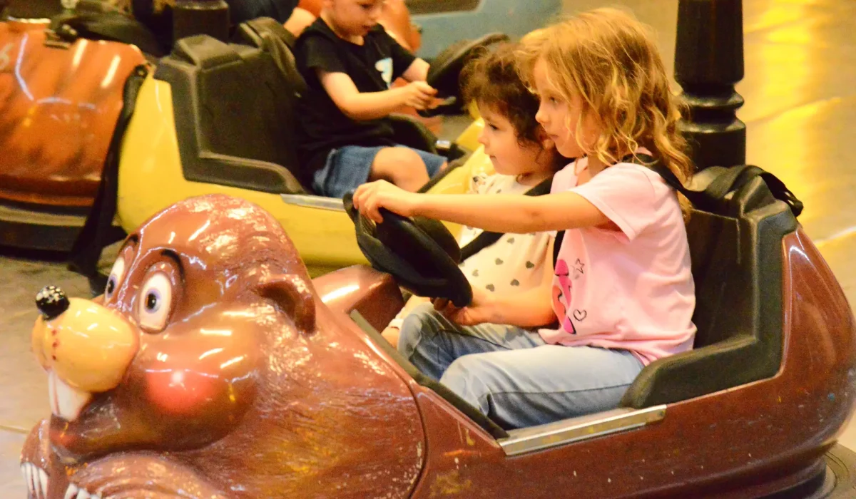 מיני מכוניות מתנגשות 75