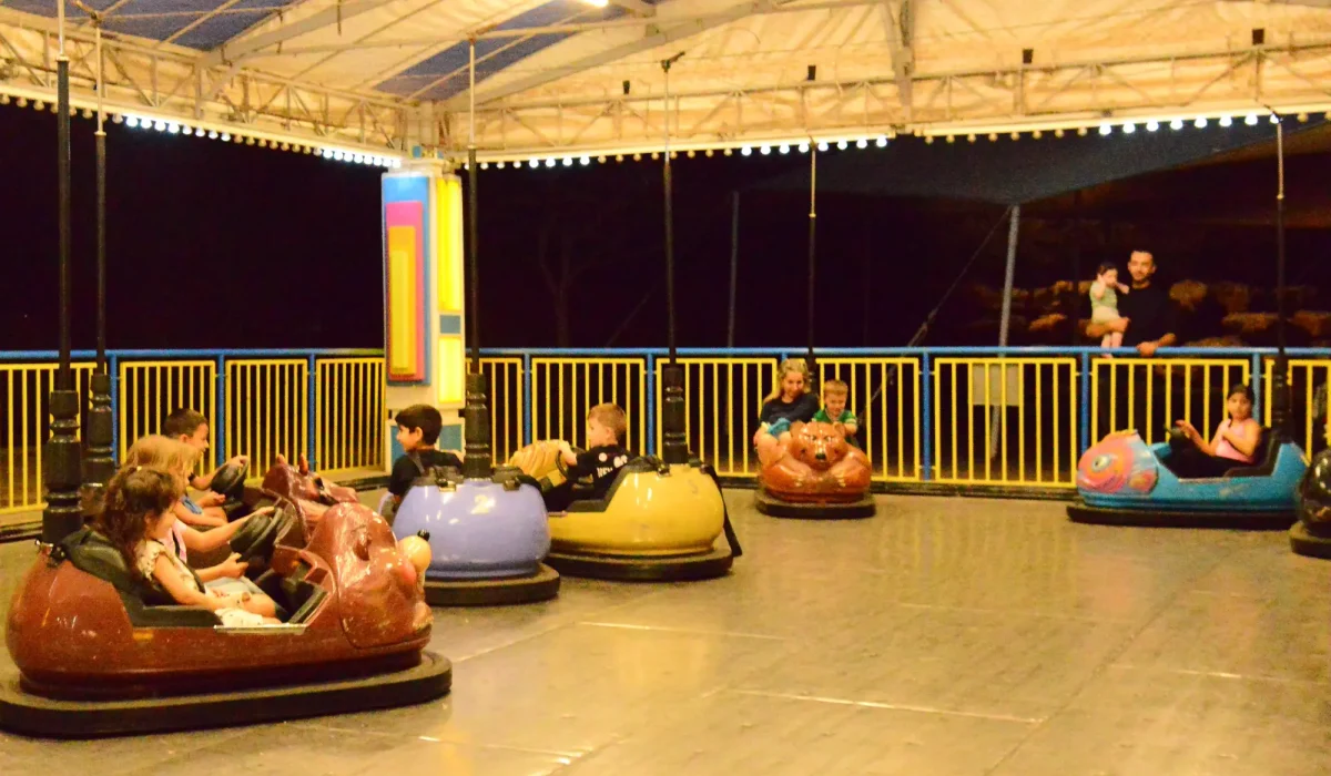 מיני מכוניות מתנגשות 78