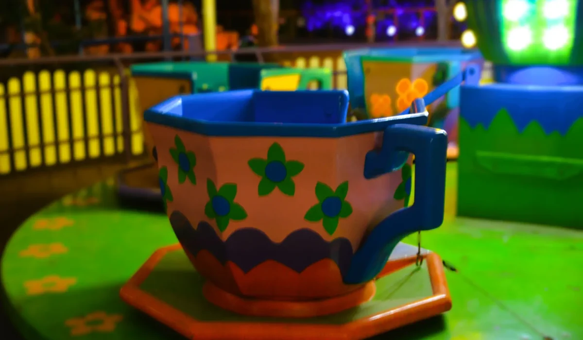 קרוסלת הספלים (5)