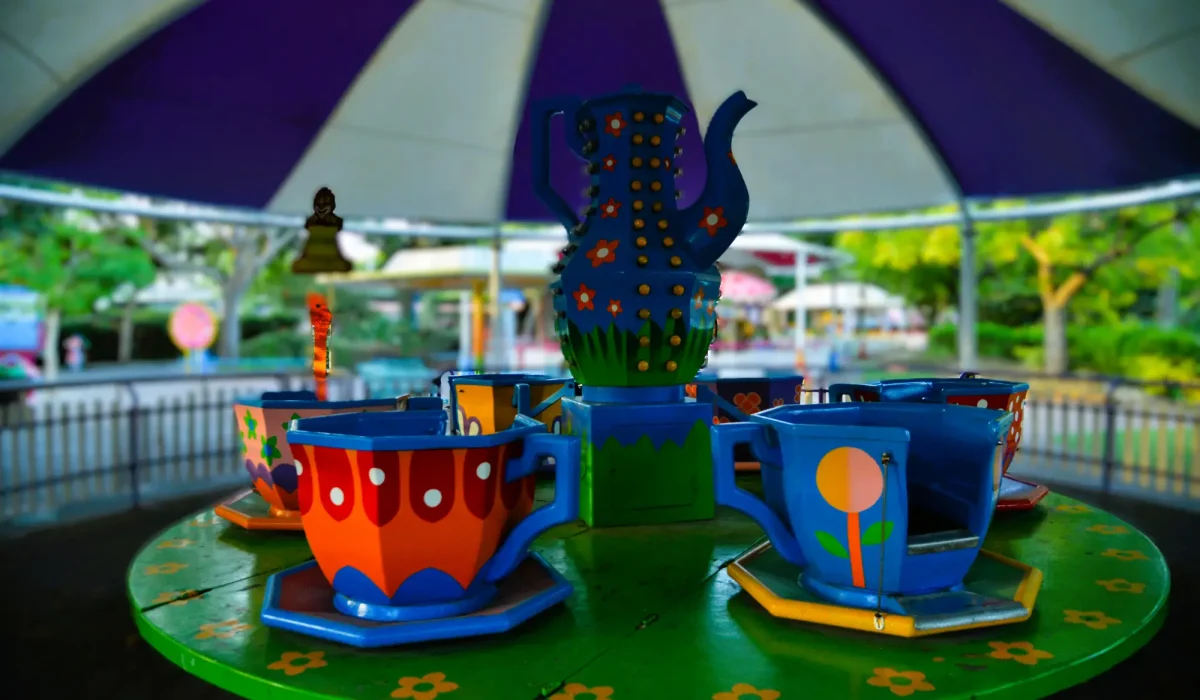 קרוסלת הספלים (9)